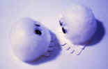 Face to Face